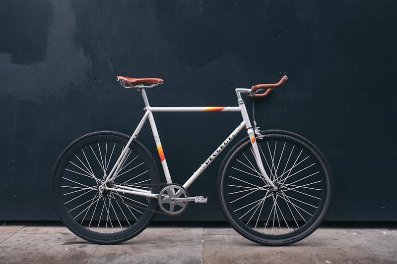 A 1981 steel frame, back from the dead — Spoke & Chain